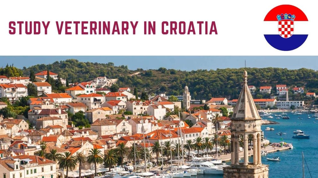 Study Veterinary in Croatia