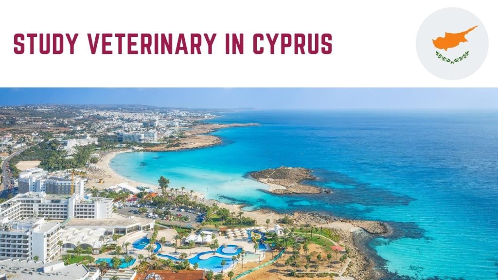 Study Veterinary in Cyprus