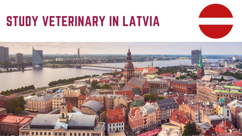 Study Veterinary in Latvia