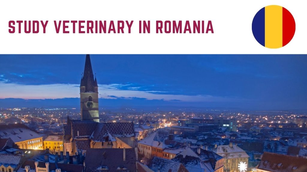 Study Veterinary in Romania