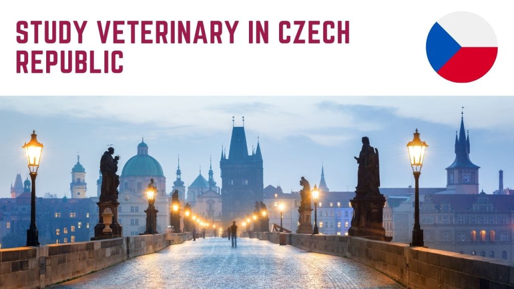 Study Veterinary in Czech Republic